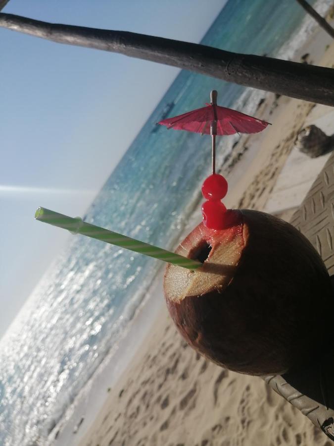 פלאיה בלנקה Playa Tortuga Cabana מראה חיצוני תמונה