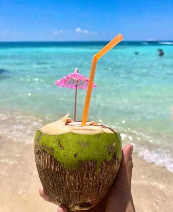 פלאיה בלנקה Playa Tortuga Cabana מראה חיצוני תמונה