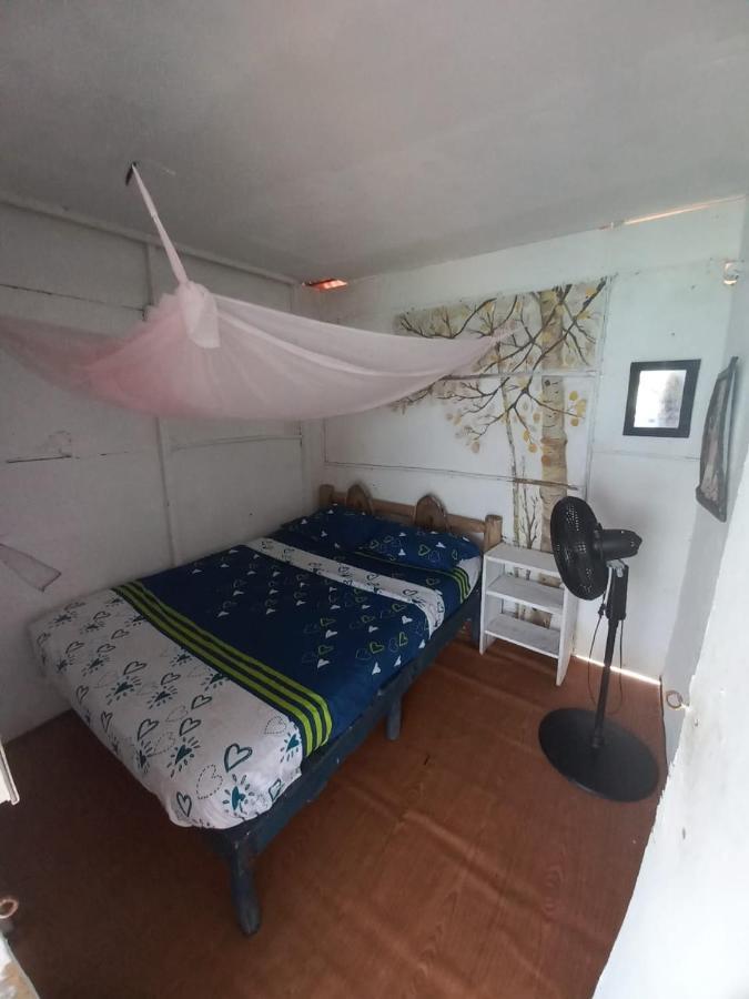 פלאיה בלנקה Playa Tortuga Cabana מראה חיצוני תמונה