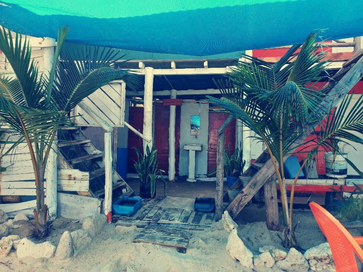 פלאיה בלנקה Playa Tortuga Cabana מראה חיצוני תמונה