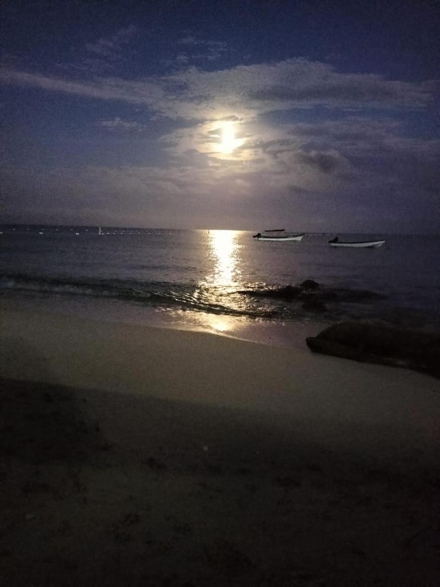 פלאיה בלנקה Playa Tortuga Cabana חדר תמונה